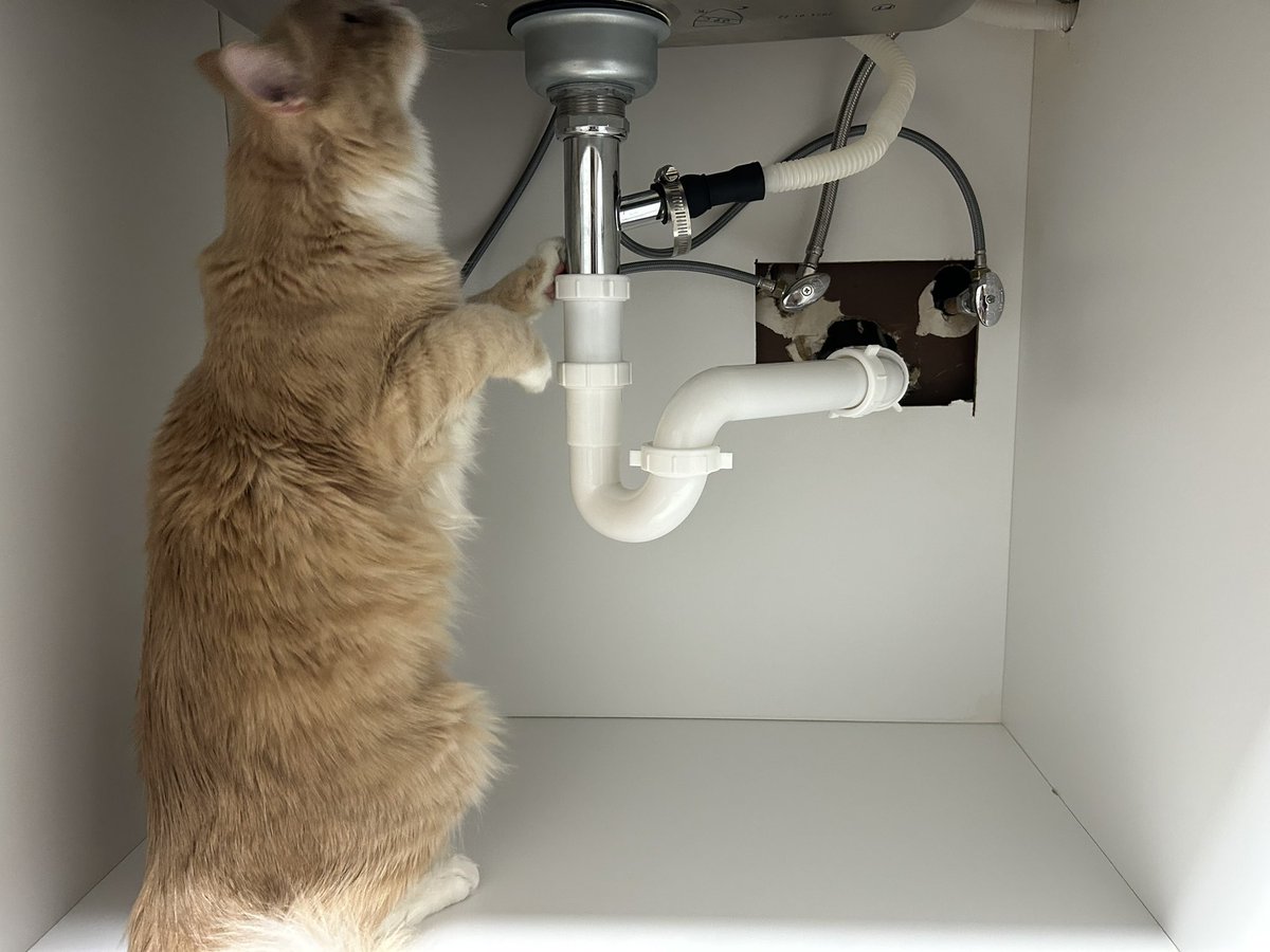 ShrimpTeddy's tweet image. Uppp… yeah…. Ur house is gonna flood sorry