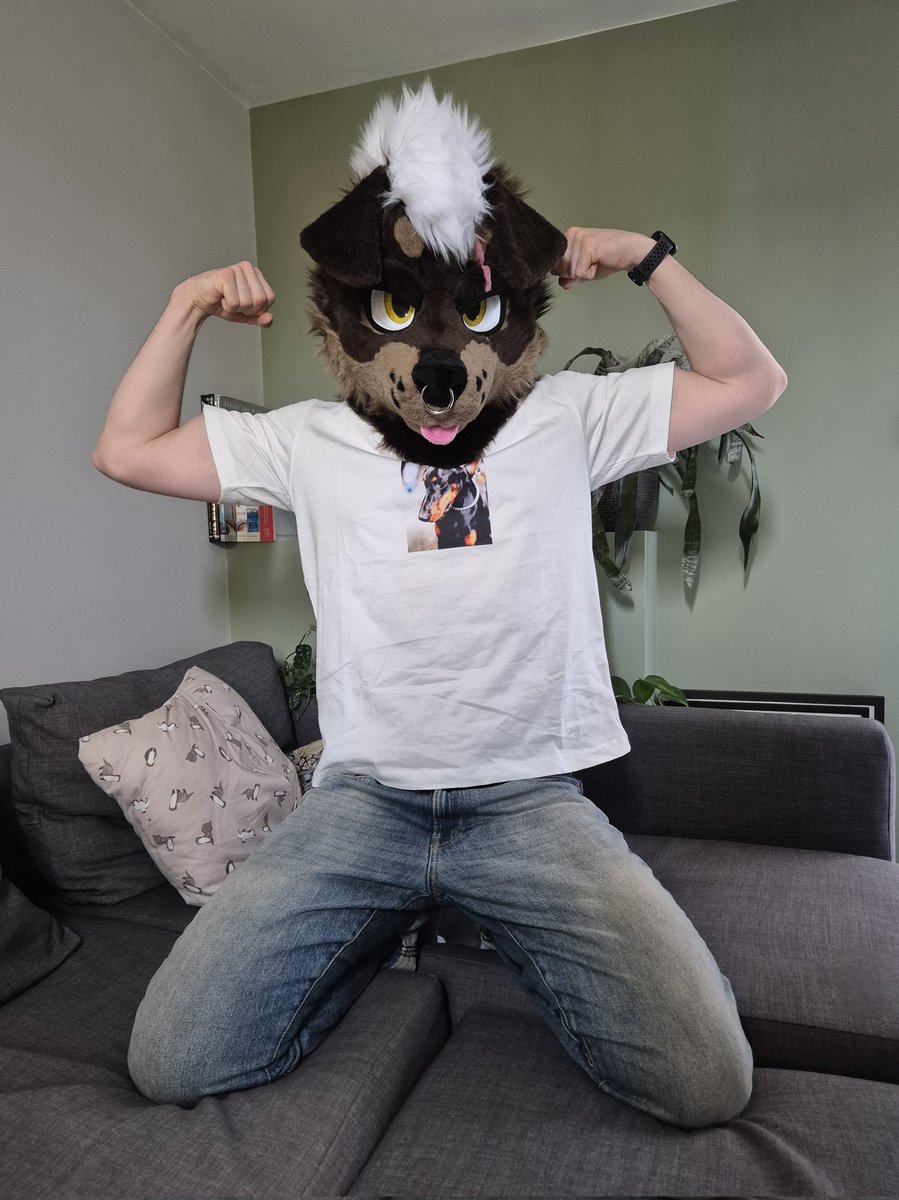 RottieRocco's tweet photo. I love letting my buddies wear Rocco 🥰

🐺: @aryn_woof https://t.co/e5z9ZCBmRw