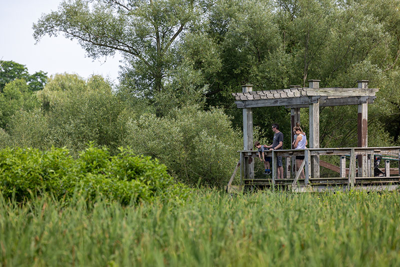 Happy Earth Day! We encourage you to explore our beautiful Thomas Creek Wetlands!  While you're there, make time to visit the interactive Analemmatic Sundial by artist Vanessa Sheldon, commissioned by the Fairport Industrial Development Agency in 2017.