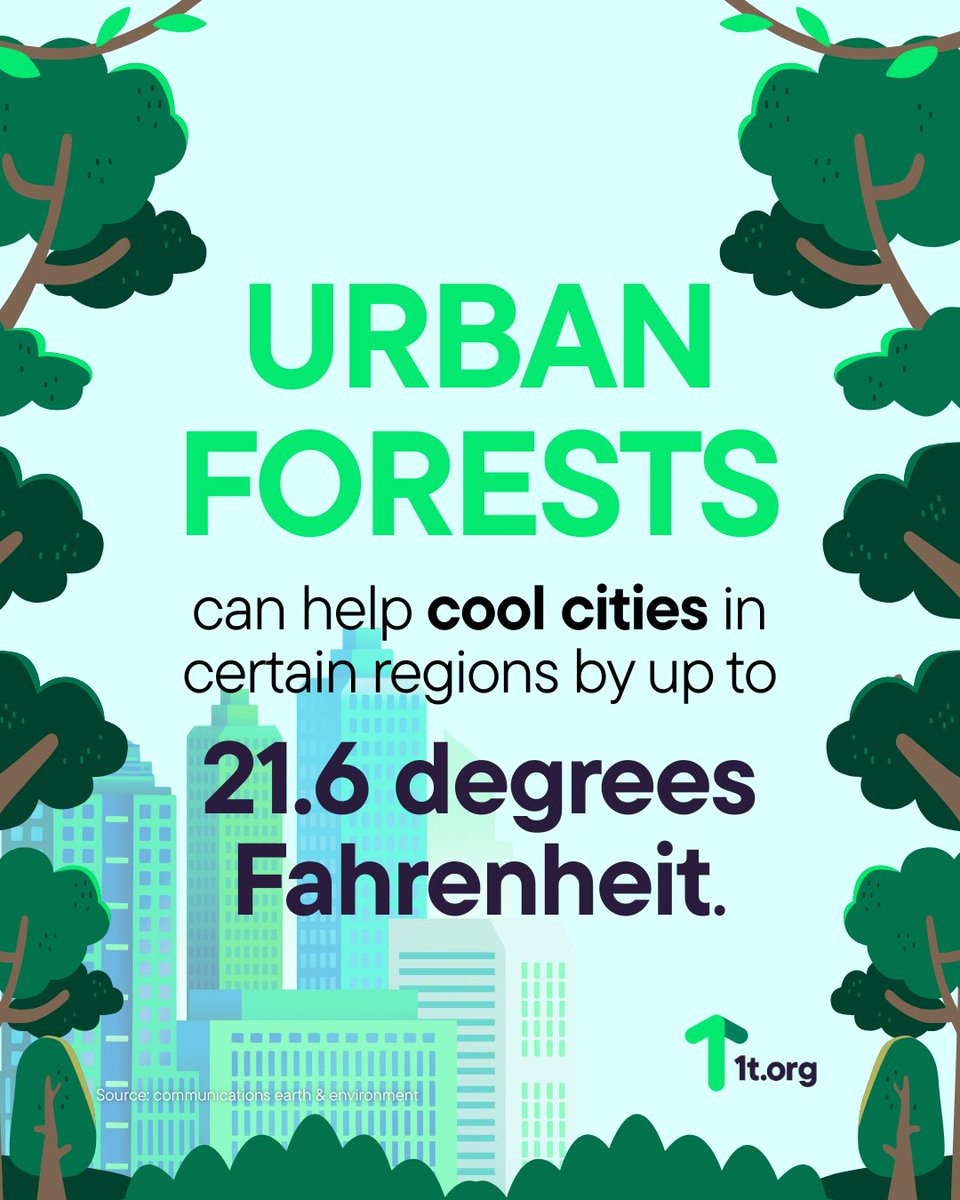 1t.org (@1t_org) on Twitter photo 🌿Urban nature #restoration isn’t just trendy - it’s essential.
🏙️ Cities like #SanFrancisco and #Durban are planting trees, reviving wetlands and reshaping urban life through green infrastructure.
🔗 Learn more: weforum.org/stories/2025/0… 🌿Urban nature #restoration isn’t just trendy - it’s essential.
🏙️ Cities like #SanFrancisco and #Durban are planting trees, reviving wetlands and reshaping urban life through green infrastructure.
🔗 Learn more: weforum.org/stories/2025/0…