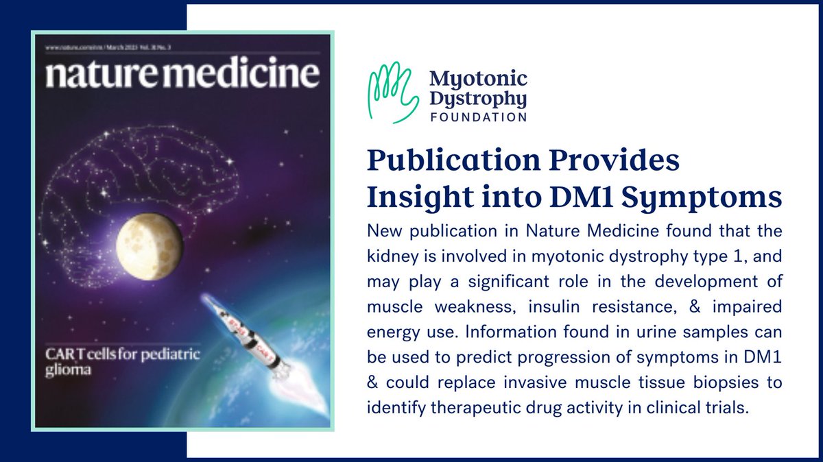 🔬🧬 New study in Nature Medicine reveals the kidney’s role in #myotonicDystrophy type 1 — impacting muscle weakness, insulin resistance &amp; energy. Findings suggest urine biomarkers could predict disease progression. 🔗Learn more at: nature.com/articles/s4146…