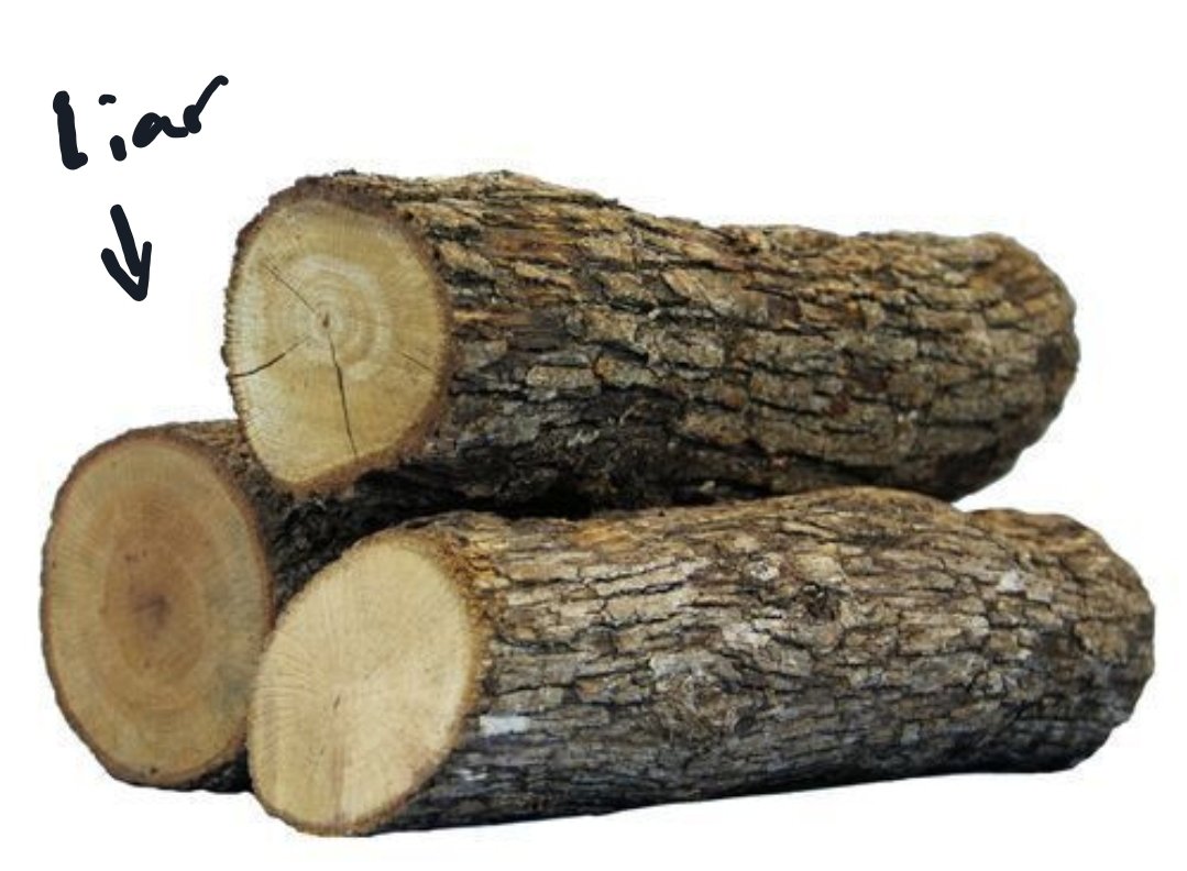 Jeb R. Bush tweet media