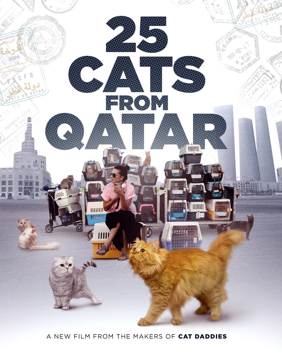 😺During CAT DADDIES, everyone asked me if I would make a film about #CAT LADIES.   So @25catsfromqatar is my answer to that! Meet Katy McHugh, the owner of SIP &amp; PURR CAT CAFE.  While she's running the cafe, she's also traveling the world and saving cats!