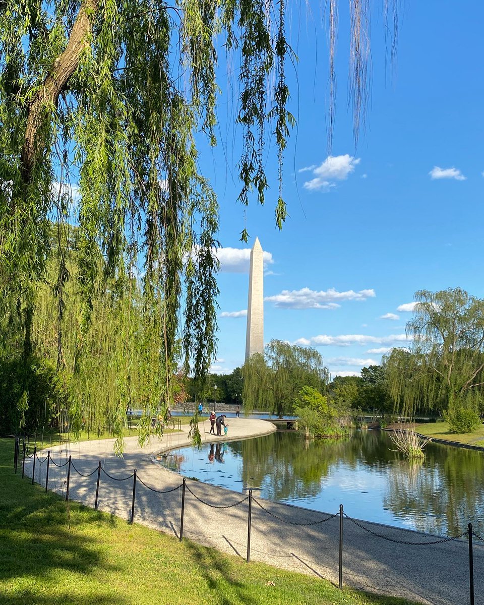 Happy Earth Day from one of the greenest cities in the U.S.! 🌎

🌱 Learn more about sustainability in the District: bit.ly/3G4rvGd

📸: seanshootsshots, flipflopcaravan, root.stock / IG  #Only1DC