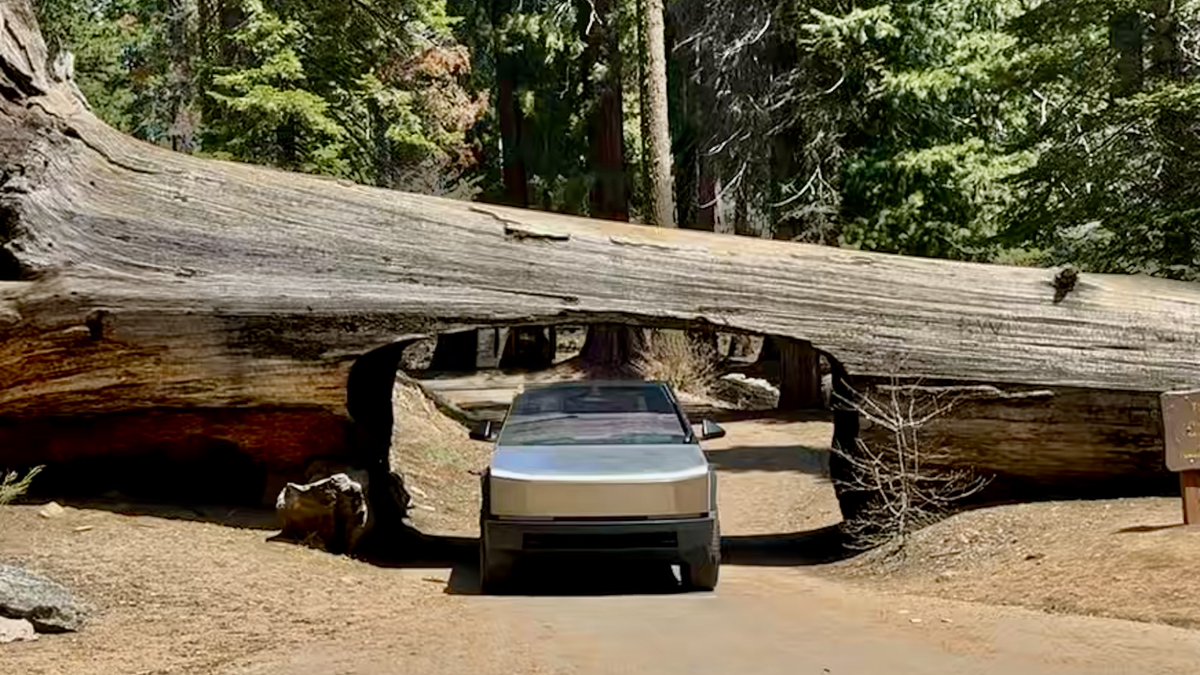 Royce_Young's tweet image. Happy Earth Day!! 🌎 We are celebrating in Sequoia National Park. What an amazing amazing place to drive through. What makes it even more enjoyable is when FSD drives and you are able to appreciate the scenery.
Pro Tip: Starlink is a lifesaver in the parks due to no cell…