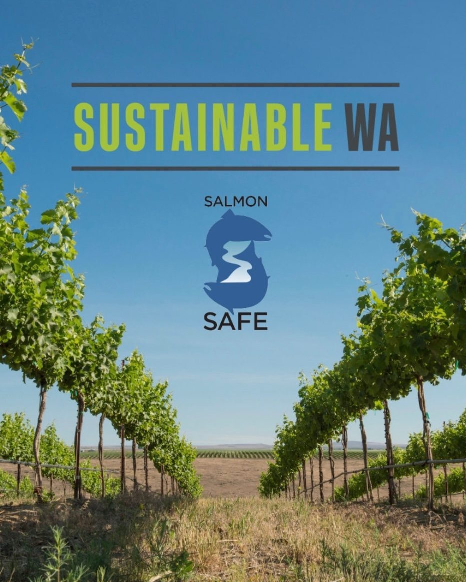 Cheers to #EarthDay! #WAwineries are leading the way in sustainability, protecting our land &amp; waterways while crafting world-class wines. Next time you grab a bottle of WA wine, look for both the Sustainable WA + Salmon Safe logo on the label!