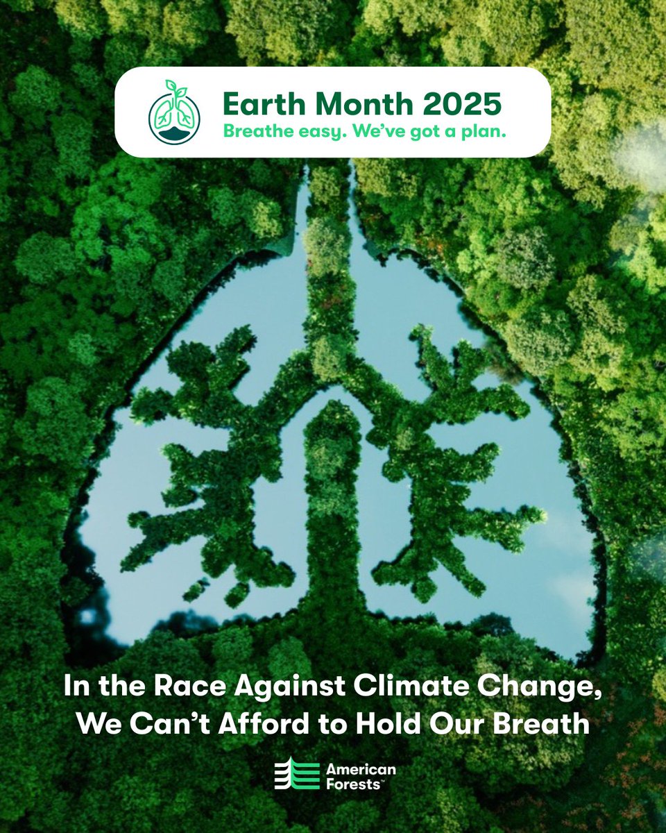 At Cadence, we proudly support <a href="/AmericanForests/">American Forests</a> in restoring forests for a resilient future. 🌳 

Trees are vital for our planet's health, providing clean air, jobs, and wildlife habitat. 

Learn more: bit.ly/4hiTy1S 

#LungsOfTheEarth 🌱