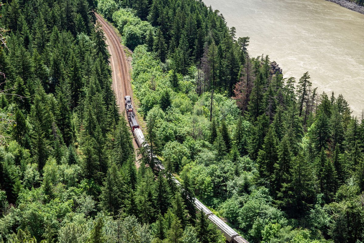 GoRail's tweet photo. Fuel efficiency, but make it ✨rail✨
Railroads are 4x more fuel-efficient than trucks—and they’re investing in even greener tech every day.
#EarthDay #RailForThePlanet #GoRail https://t.co/TbHGah2vMl