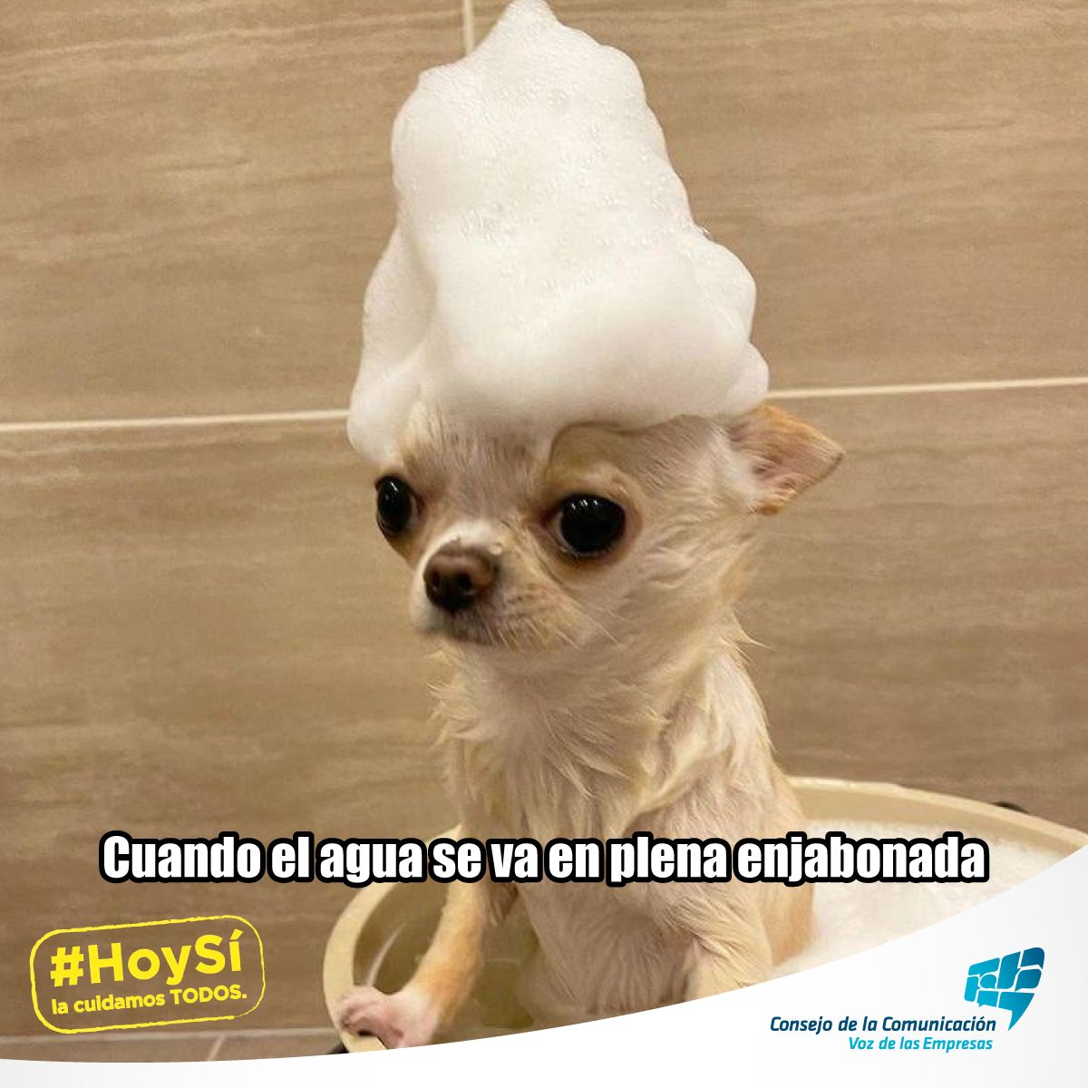 Hoy Sí Mx tweet media