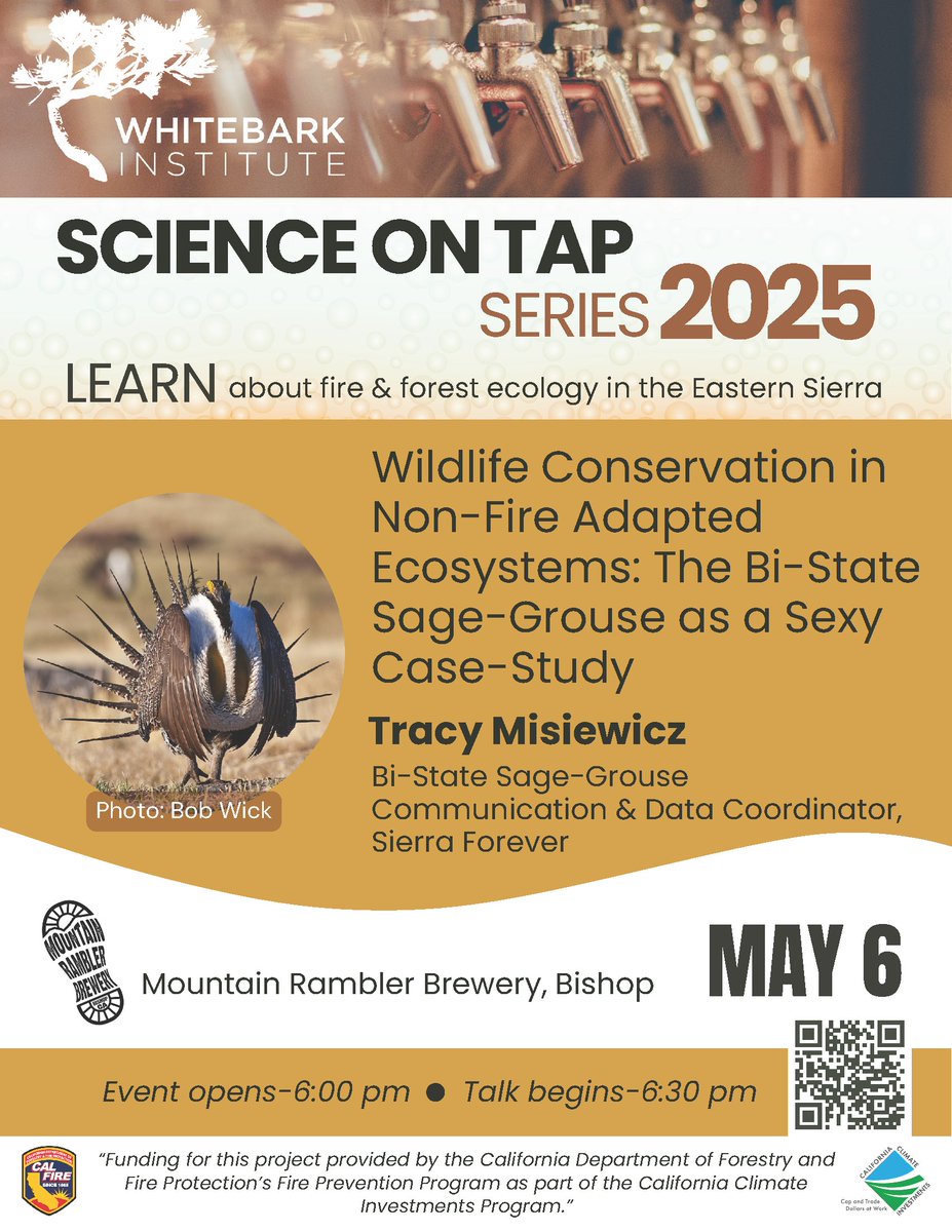 SierraForever's tweet photo. MARK YOUR CALENDAR "SEXY" on Tues, May 6! Come learn from @SierraForever &amp; #WhitebarkInstitute over a beer or two at #MountainRamblerBrewery, as you learn about wildfire in sage-brush ecosystems, changes due to the climate crisis &amp; what can be done. See flyer for info. Join us! https://t.co/rL5g4XTh8c