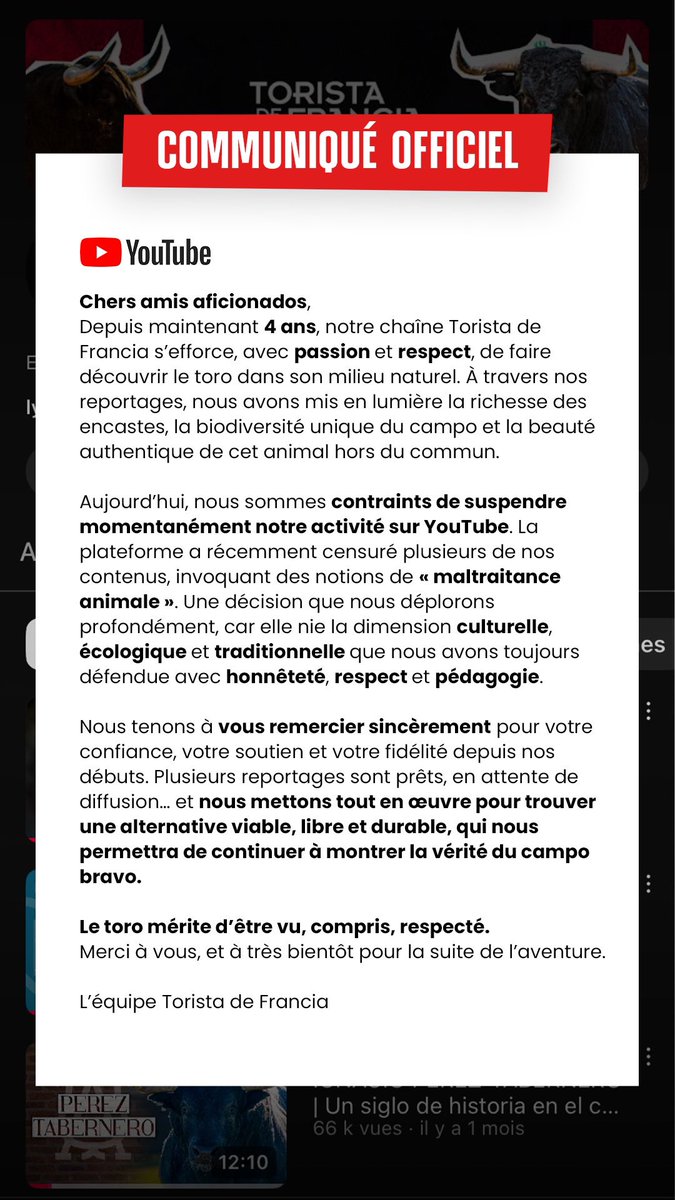 ToristaFrances's tweet image. El toro merece ser visto, comprendido y respetado ⤵️