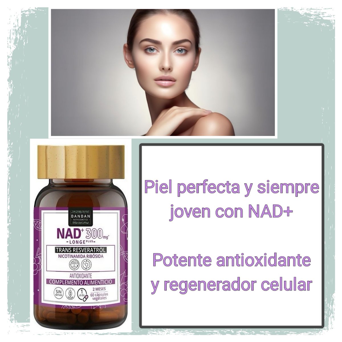 HHipocrates005's tweet photo. Cuida tu piel por dentro y por fuera con nuestros productos de nutricosmetica y que la juventud esté siempre presente en tu vida.

Solo una cápsula al día de NAD y con solo un envase notarás la diferencia

 #pielperfecta #pielsana #pieljoven #siemprejoven #antiarrugasnatural https://t.co/oYh6xUuNeh