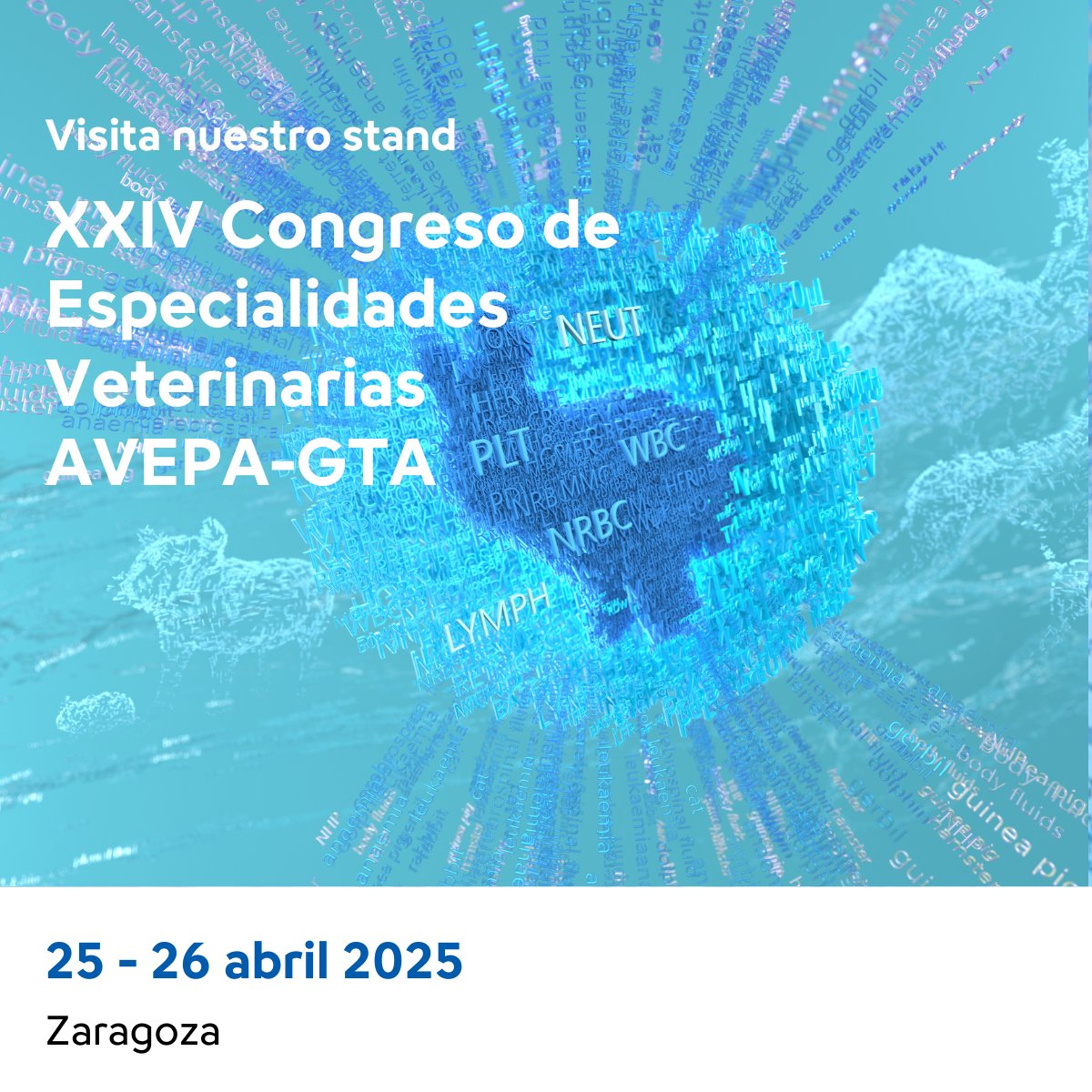👋 Los días 25 y 26 estaremos en el XXIV Congreso de Especialidades Veterinarias organizado por <a href="/AVEPA_vet/">AVEPA</a> 

🩸Visítanos y descubre las últimas novedades en hematología veterinaria, así como todos los detalles sobre nuestros analizadores.

👉 bit.ly/3ExFMLk
 #Sysmex