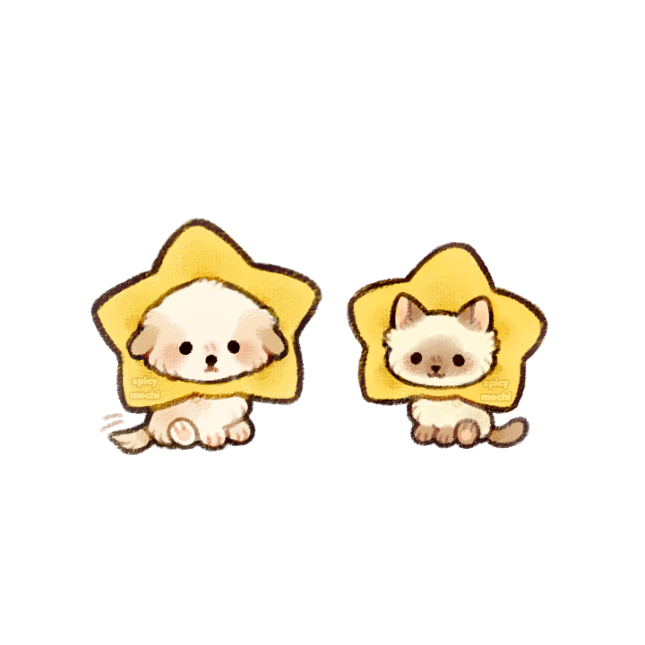 pup star and kitty
