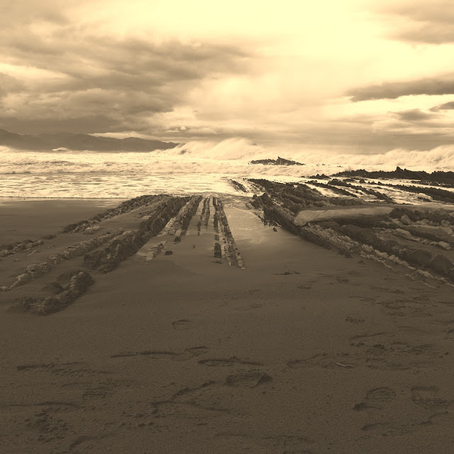 roberto gargarella tweet media