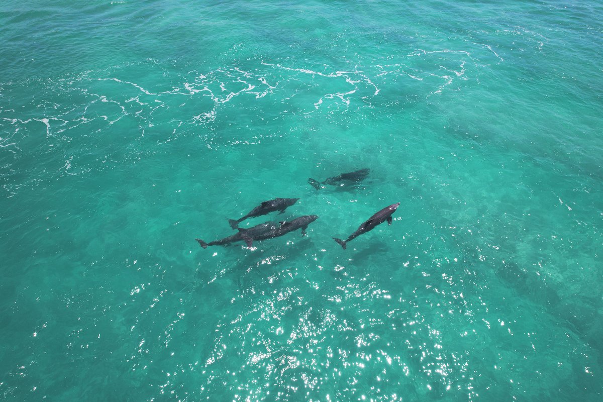 Earth Day is a time to reflect on our impact on the planet and to take steps to protect, conserve and appreciate the things we have.

NatureEye brings you closer to remote and stunning locations from around the world with virtual guided private and educational drone flights. We