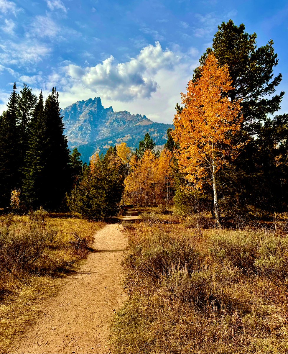 D Miller tweet media