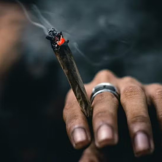 Cannabis Brasil tweet media