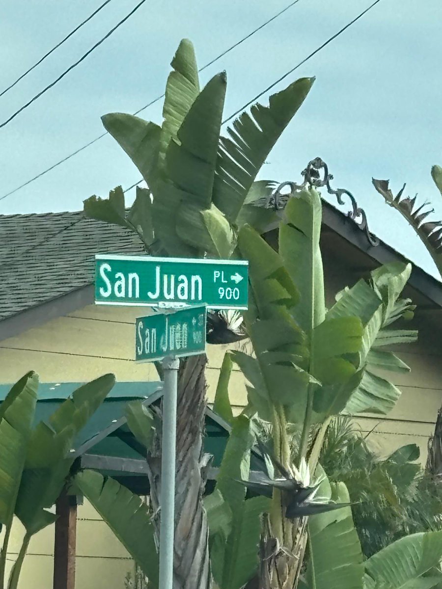leilanialesh's tweet photo. Clarity of direction. Where do we go from here 🧐 https://t.co/XHTZuQjnyw