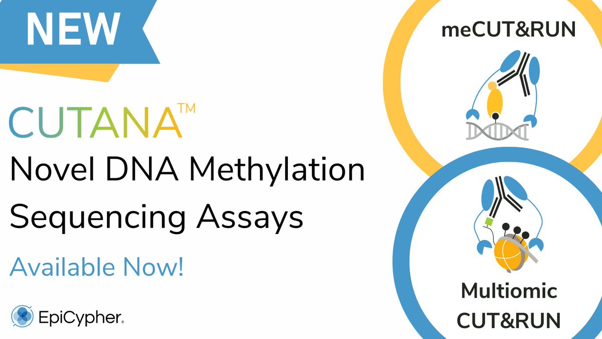 EpiCypher, Inc. (@epicypher) on Twitter photo EpiCypher has launched TWO novel DNA Methylation sequencing assays!
meCUT&RUN 🧬
Genome-wide DNAme insights - without the whole-genome price tag. ▶️explore.epicypher.com/DNA-methylatio…
Multiomic CUT&RUN🧬
Profile both DNAme and chromatin proteins in ONE reaction.
▶️ explore.epicypher.com/Multiomic-Cut-… EpiCypher has launched TWO novel DNA Methylation sequencing assays!
meCUT&RUN 🧬
Genome-wide DNAme insights - without the whole-genome price tag. ▶️explore.epicypher.com/DNA-methylatio…
Multiomic CUT&RUN🧬
Profile both DNAme and chromatin proteins in ONE reaction.
▶️ explore.epicypher.com/Multiomic-Cut-…