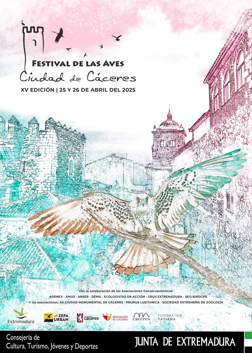 ¿Te apetece observar aves mientras paseas por una de nuestras ciudades más monumentales? El Festival de las Aves Ciudad de #Cáceres ofrece rutas guiadas por el centro histórico y los alrededores de la ciudad. Del 25 al 26 de abril sites.google.com/view/festivald…
