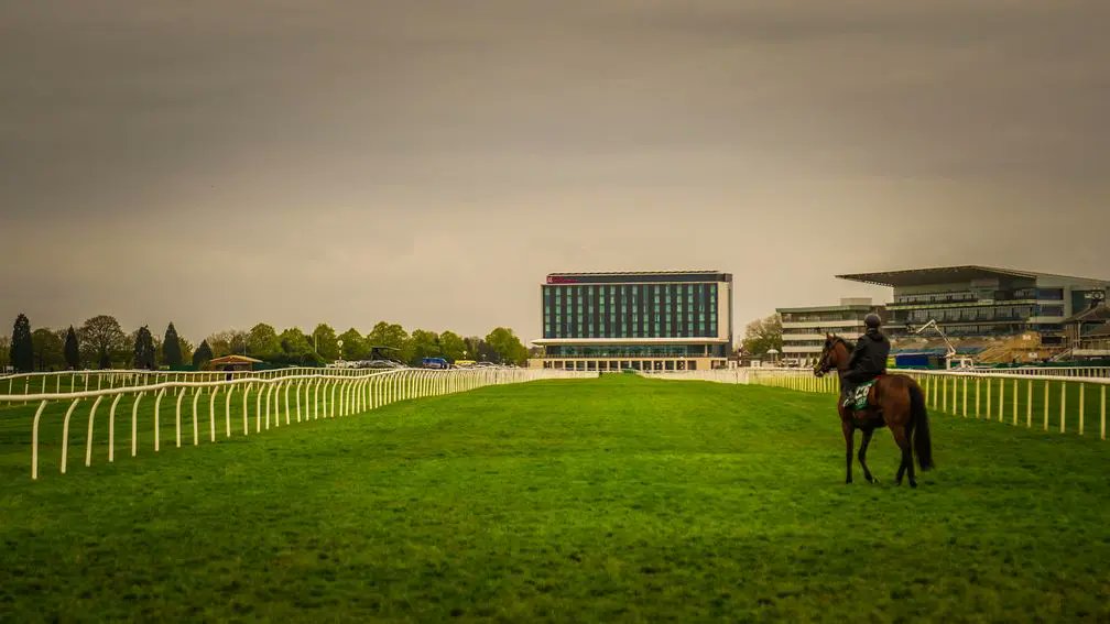 "She's a nice, good looking filly who is strong, precocious and ready to roll."

All systems go for consignors as Doncaster Breeze-Up Sale looms 👉 bit.ly/3Rwg0Km