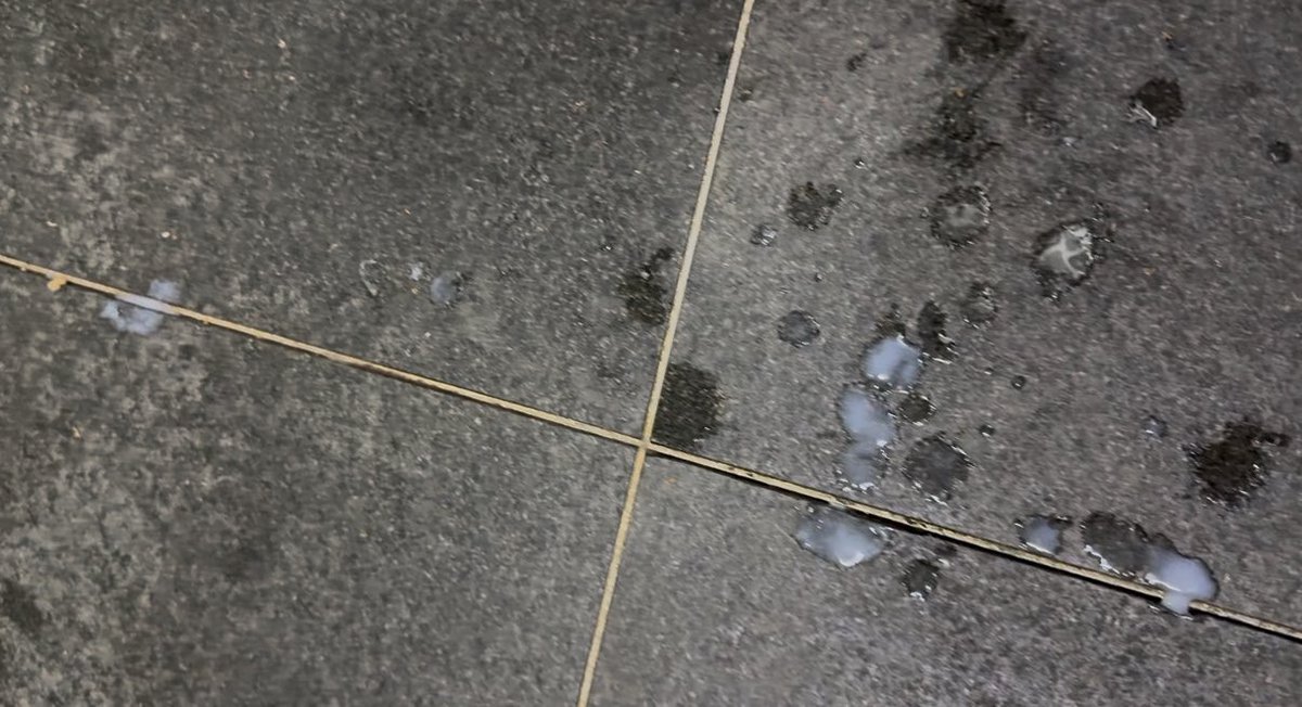 球褲脫下來，戴著新玩具😳
色色影片：fansone.co/post/1411056808