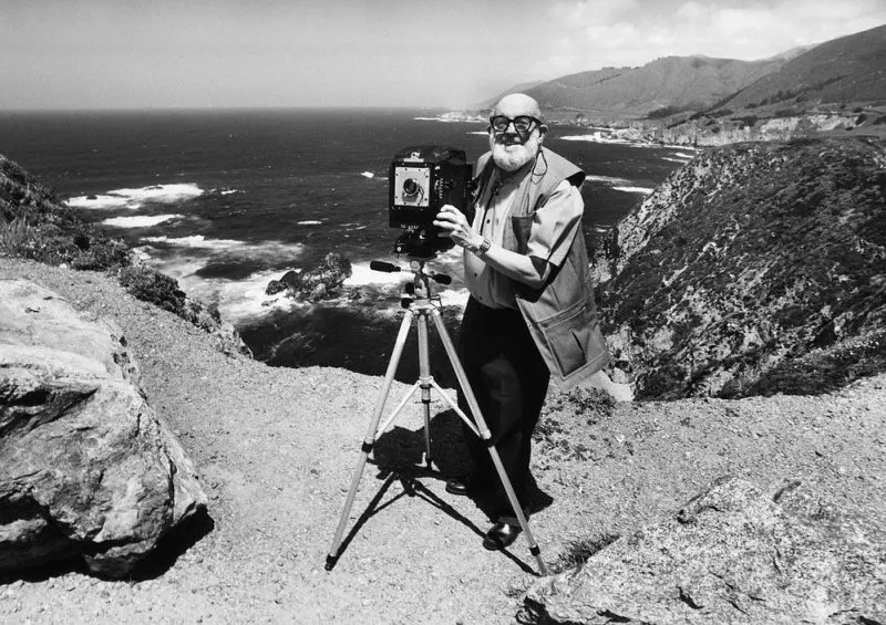 The Ansel Adams Gallery tweet media
