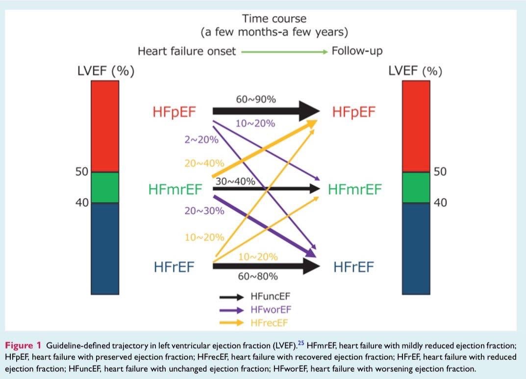 Ahmed Bennis (@drbennisahmed) on Twitter photo The use of left ventricular ejection fraction in the diagnosis and management of heart failure. A clinical consensus statement of the Heart Failure Association (HFA) of the ESC, the HF Society of America (HFSA), and the Japanese HF Society (JHFS)
onlinelibrary.wiley.com/doi/full/10.10… The use of left ventricular ejection fraction in the diagnosis and management of heart failure. A clinical consensus statement of the Heart Failure Association (HFA) of the ESC, the HF Society of America (HFSA), and the Japanese HF Society (JHFS)
onlinelibrary.wiley.com/doi/full/10.10…