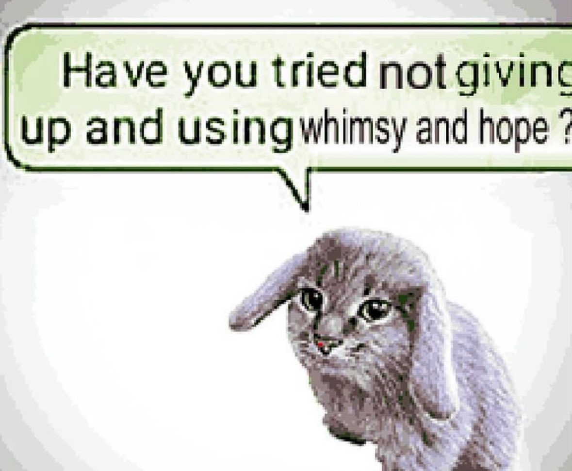 ✧ (@northstardoll) on Twitter photo 