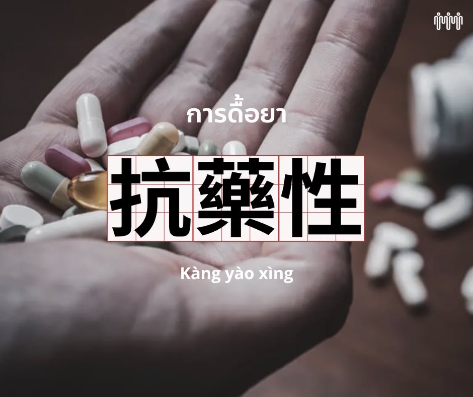 Taipei Connection 🇹🇼 tweet media