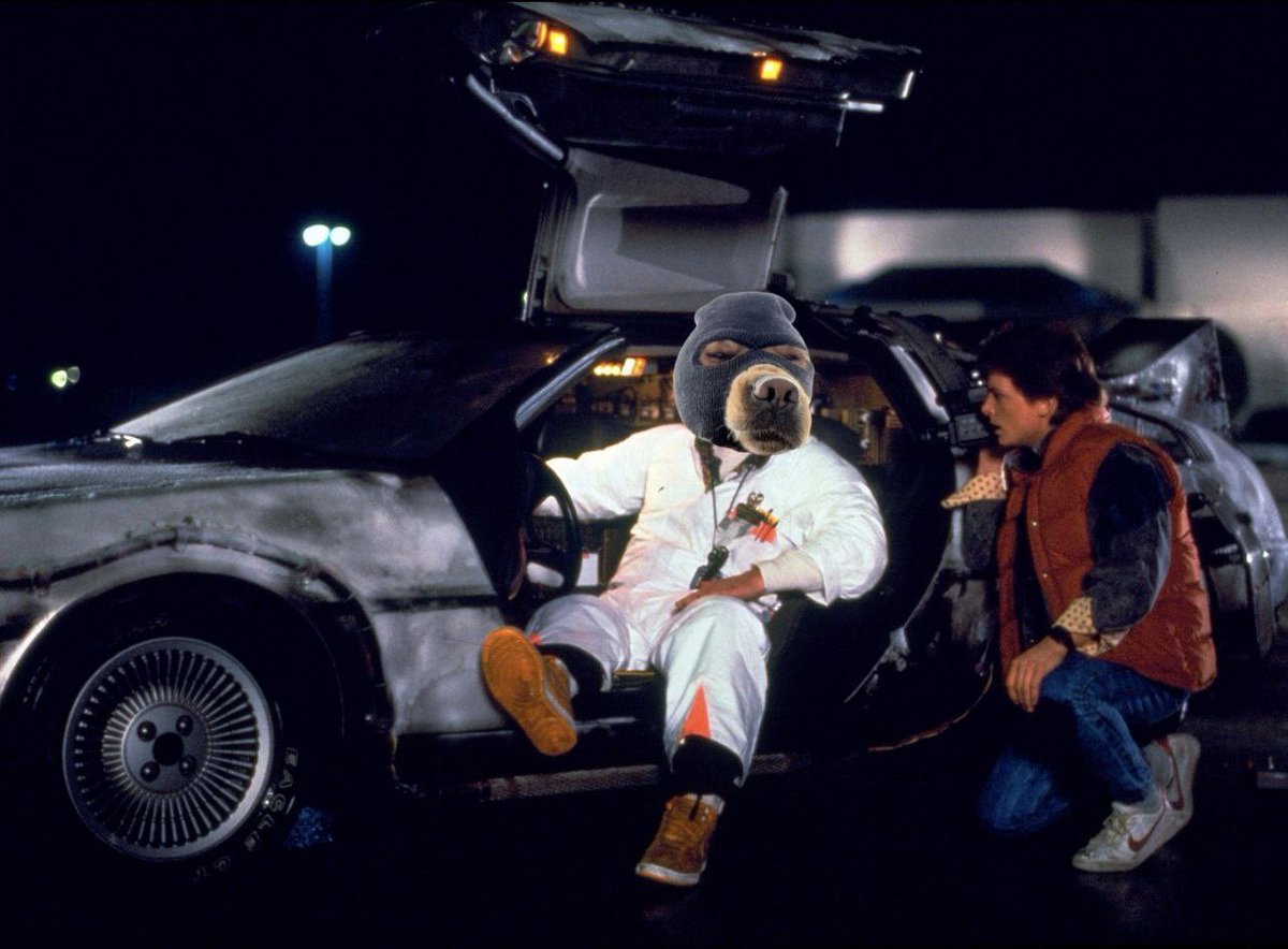 Ski_CTO's tweet image. just returned from the future 

$SKI was the top dog 🥷🐕