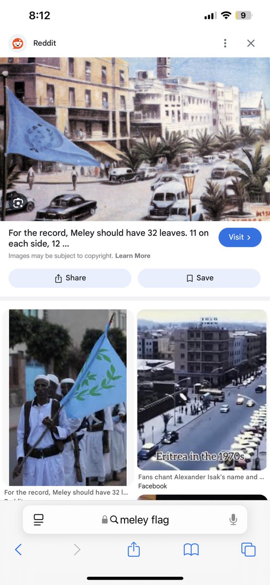 Mercy4ALL82's tweet photo. @alema_kidus #Meley flag in light blue w/ green olive branch in the center is #Eritrea's true flag elected by its people. 👉🏽 🇪🇷 is what the 🌍 recognize as #Eritrea's flag, but this communist flag was brought by current dictator & regime is a reminder of #SilentGenocide, deception & betrayal. https://t.co/mEu5buWODR