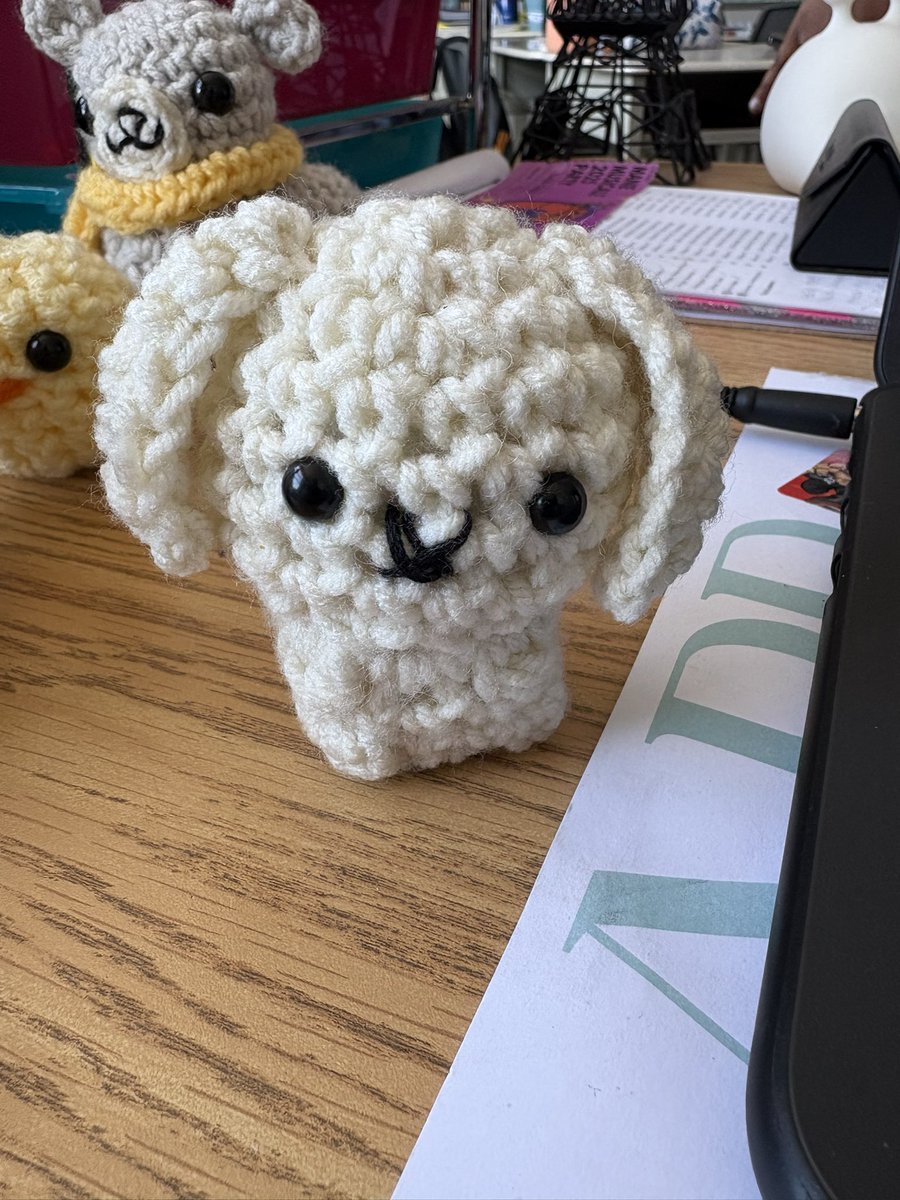 Mlle L. Roberto, OCT tweet media