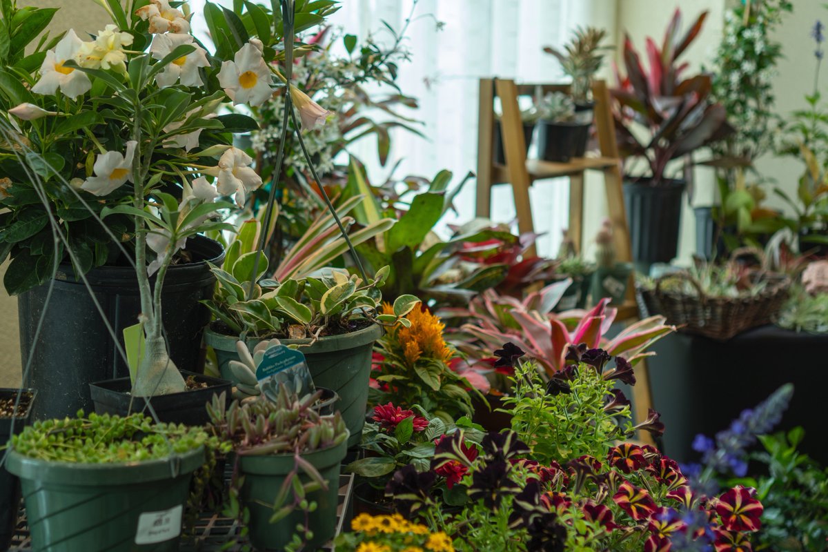 Join us Wednesday, April 23 for the 13th Annual #GulfCoastHerbFair.  This event is FREE to the public and will feature a variety of vendors  showcasing books, plants, herbs, art and other creations inside the #MoodyGardensHotel