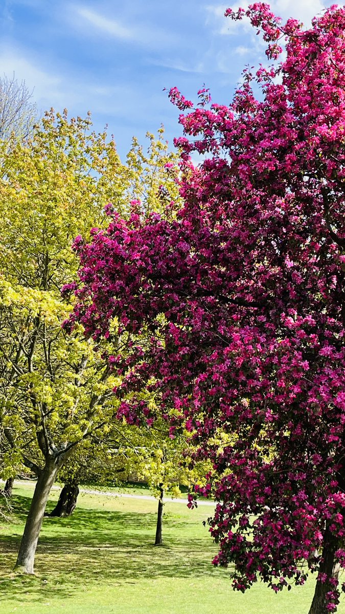 Nature’s Colour Palette! #ampthillpark #ampthillcameraclub #earthday