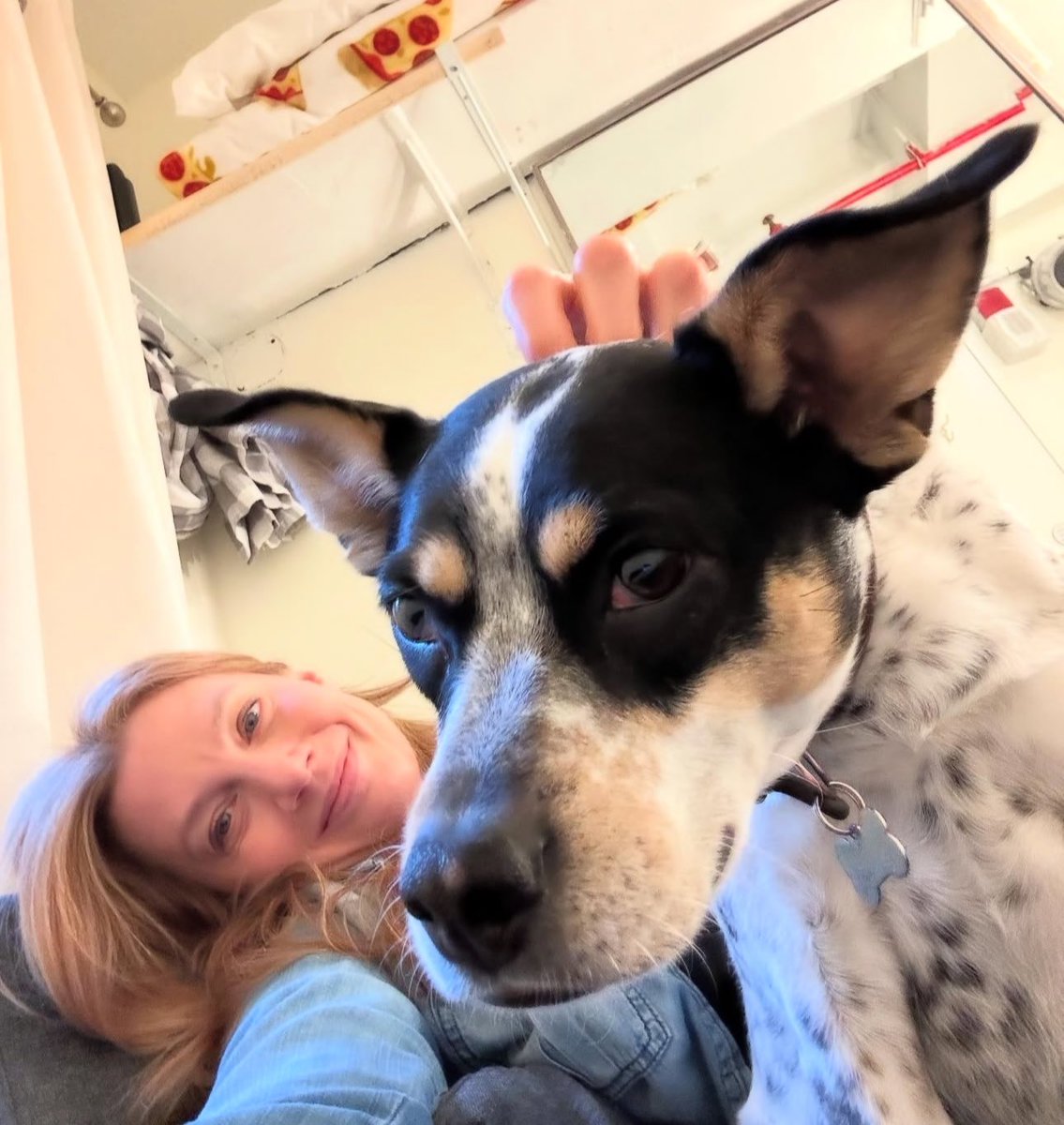 PIPPAMORRISCN's tweet image. pippamorrison posted: 🥯