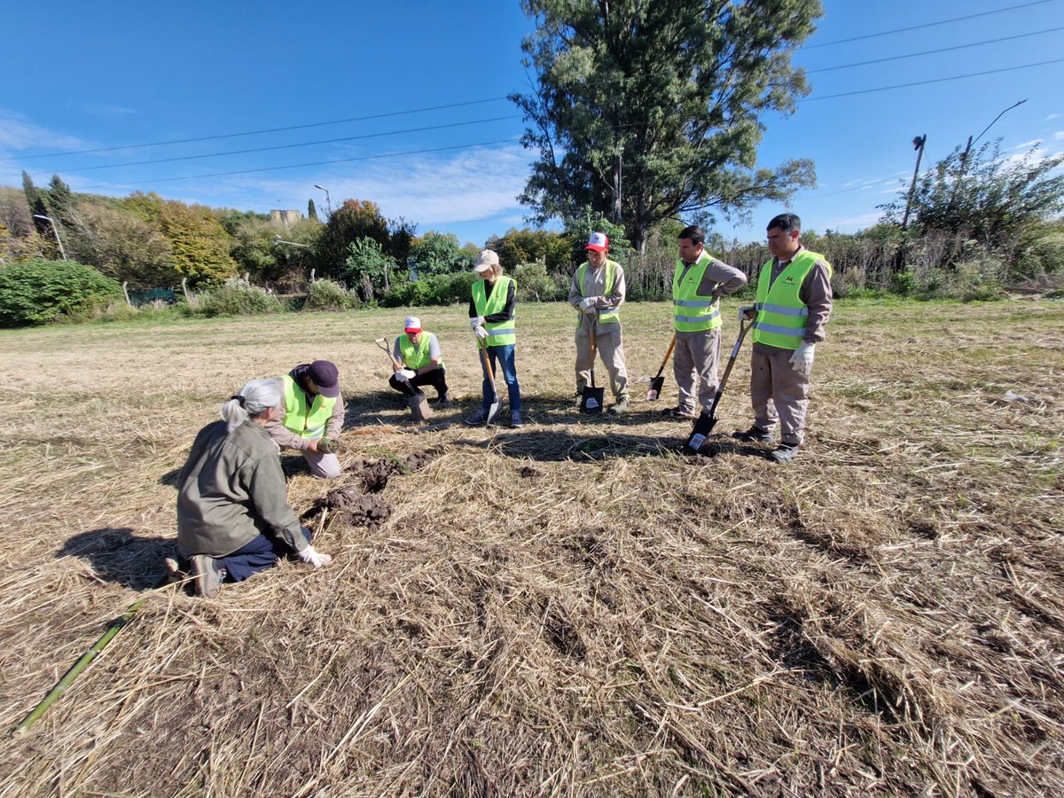 INTA Centro de Investigación de Recursos Naturales (@intarnaturales) on Twitter photo El Jardín Botanico Arturo Ragonese del Instituto de Recursos Biologicos y el <a href="/_GrupoMitre/">Grupo Mitre</a> 🫱🏼🫲🏼 participaron de una jornada de plantacion de especies nativas🌳 en el predio del CNIA-INTA por el #DíadelaMadreTierra 🌎 El Jardín Botanico Arturo Ragonese del Instituto de Recursos Biologicos y el <a href="/_GrupoMitre/">Grupo Mitre</a> 🫱🏼🫲🏼 participaron de una jornada de plantacion de especies nativas🌳 en el predio del CNIA-INTA por el #DíadelaMadreTierra 🌎
