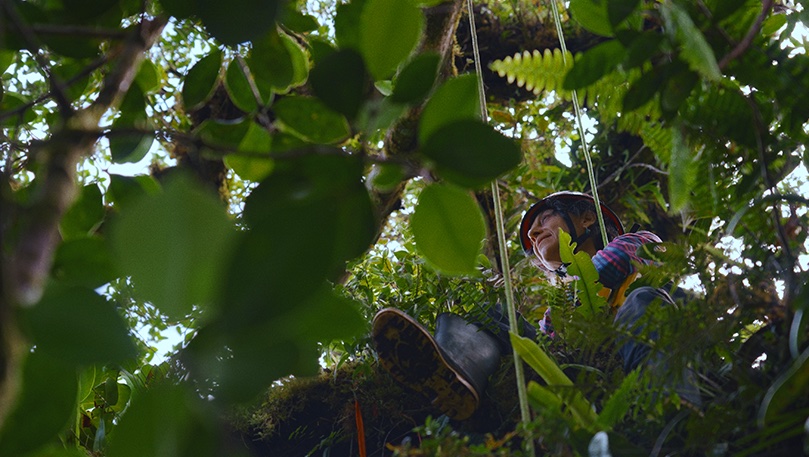 Docuseek2 (@docuseek2) on Twitter photo BETWEEN EARTH & SKY <a href="/bullfrogfilms/">Bullfrog Films</a>
Shorlisted for an Academy Award®, follows world-renowned tree canopy ecologist Nalini Nadkarni as she prepares for one last research climb before considering retirement from the field.▶️docuseek2.com/bf-beas 🎥 #Docuseek #EarthDay BETWEEN EARTH & SKY <a href="/bullfrogfilms/">Bullfrog Films</a>
Shorlisted for an Academy Award®, follows world-renowned tree canopy ecologist Nalini Nadkarni as she prepares for one last research climb before considering retirement from the field.▶️docuseek2.com/bf-beas 🎥 #Docuseek #EarthDay