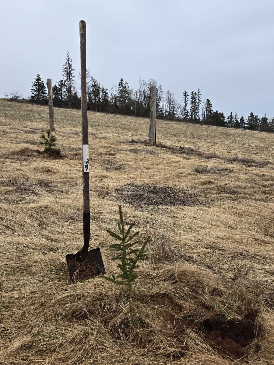 If you want hope and change, put your phone down and plant a tree. #EarthDay #PEI