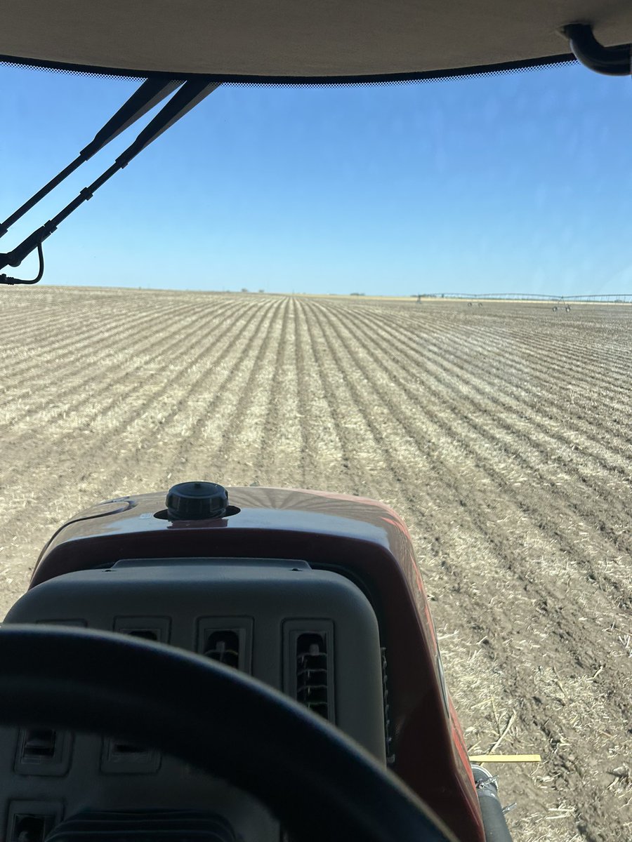 According to <a href="/ksufearless/">Matt McCune</a> I’m late to the party… looks to me like the party just started mfer!! 🌽