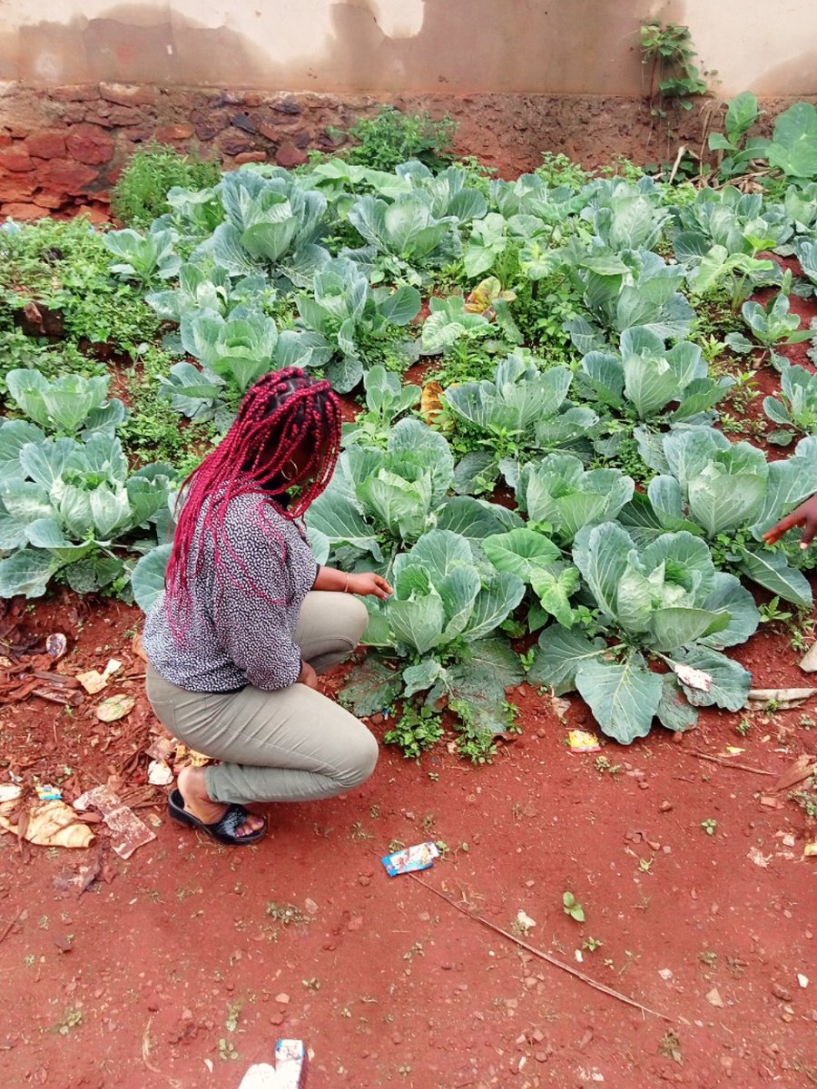 Inès Njonpang tweet media