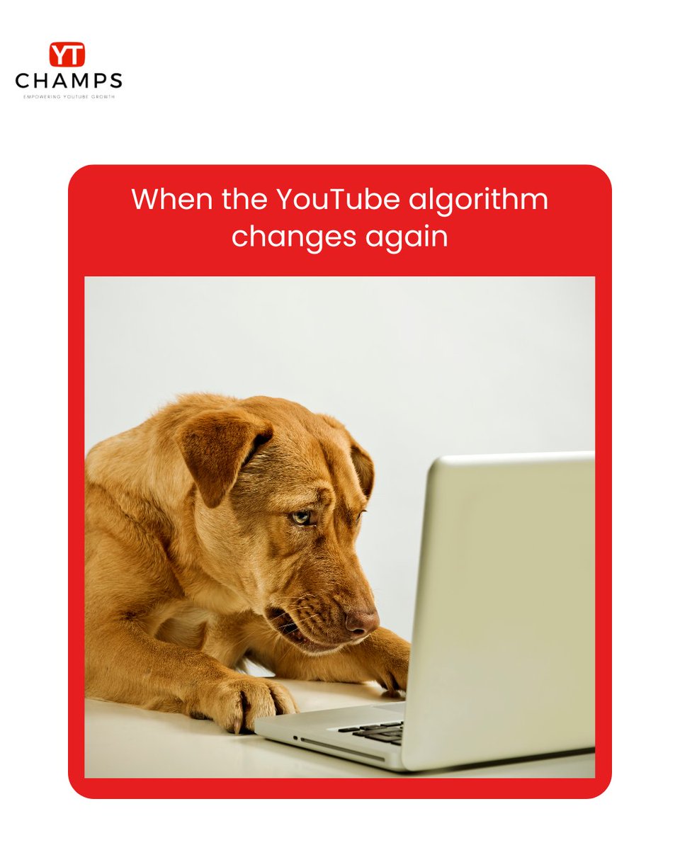 YTChampsLLC's tweet image. The YouTube algorithm changed again? No stress, we handle it for you.
Just message us or visit our website: ytchamps.com
#YtChamps #YouTubeTips #AlgorithmHelp #ContentSupport
