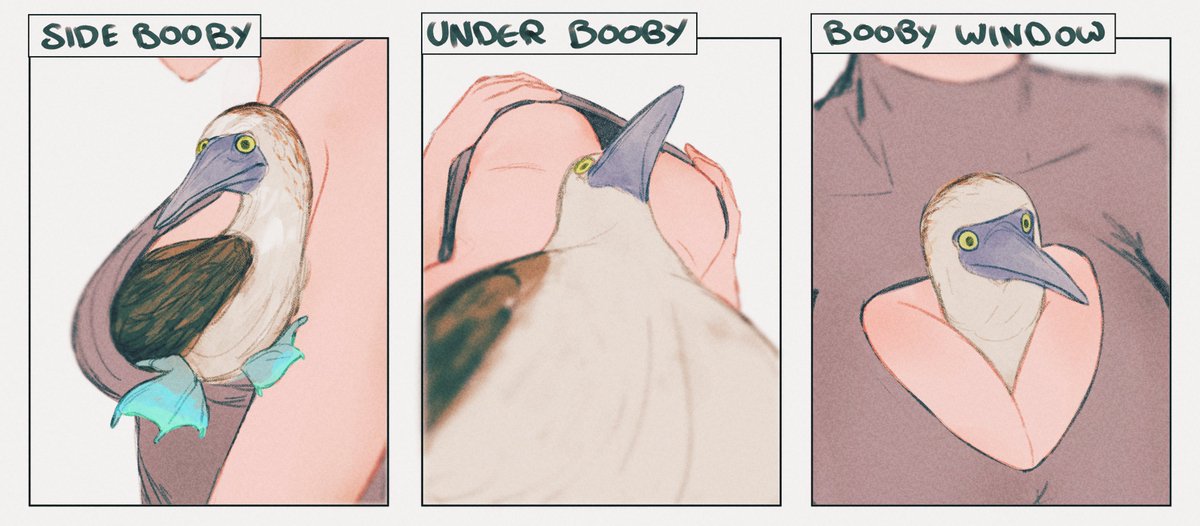 AidenR0's tweet image. 