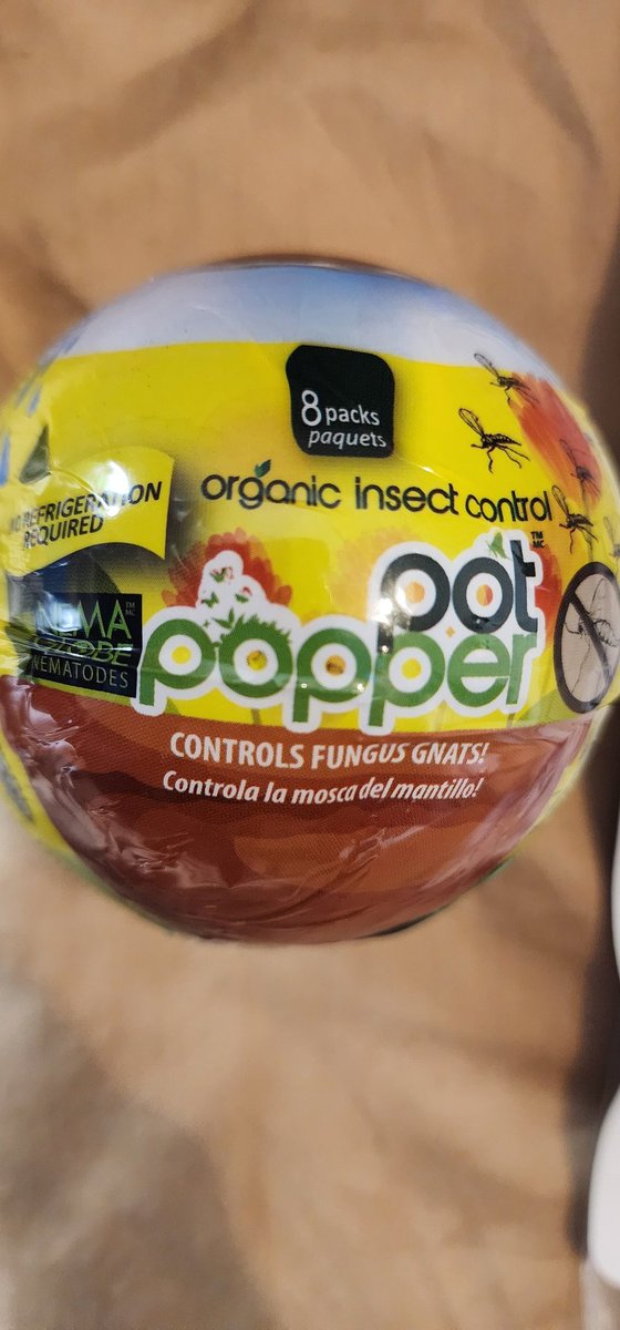 GENETICS 101 tweet media