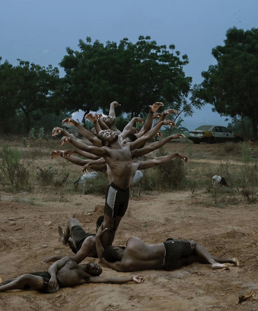 NoteSphere's tweet image. dying tree, 2024. 
📸: @Frizzlemadeit