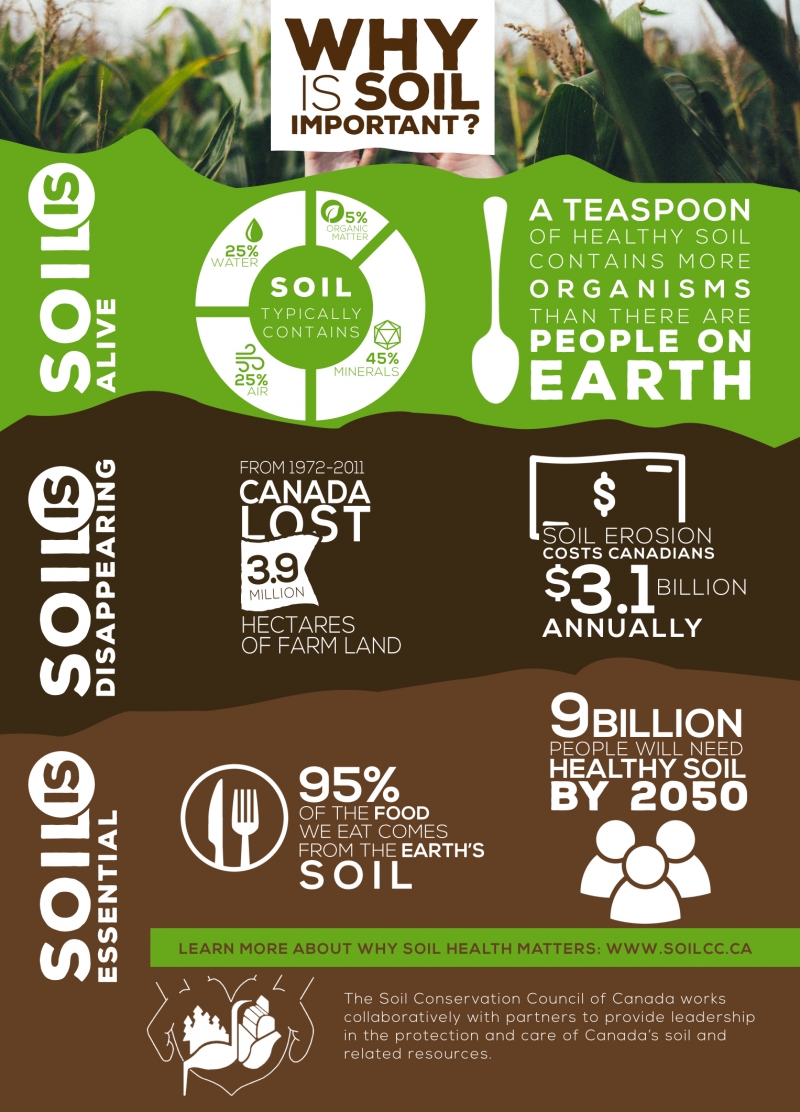 This week is National Soil Conservation Week! Did you know that 95% of the food we eat is grown in soil? Healthy soils support the well-being of all human beings, just like air and water! With soil becoming degraded all around the world, it is imperative that we work together to