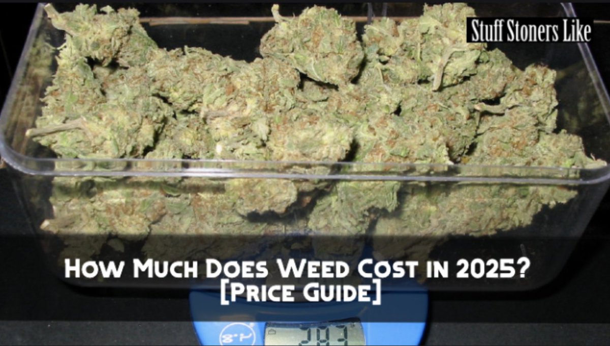 SOOOO—how much is an ounce of weed in 2025? 🌿💸—here’s what it’ll run you this year. 👉 stuffstonerslike.com/how-much-is-an…
#weed #cannabis #weedprices #420 #stoners