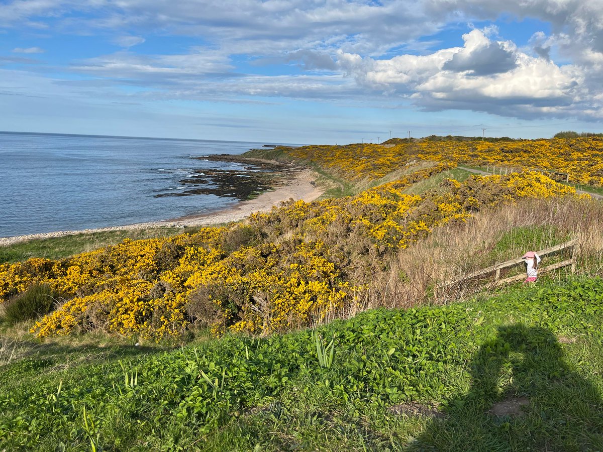 Cristina Ferrari tweet media