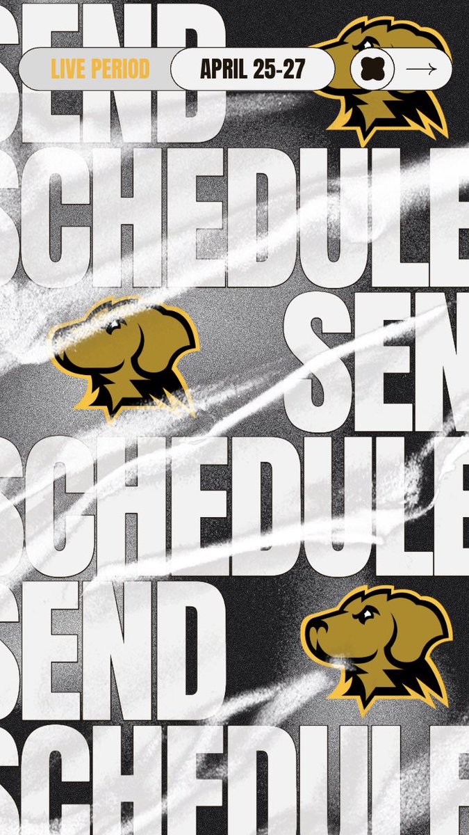 UMBC Women’s Basketball tweet media